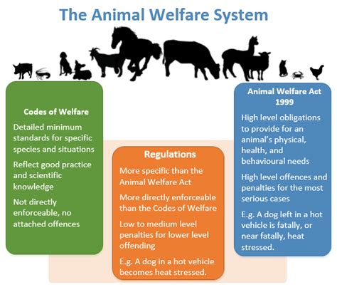 What Laws Are Doing To Secure Farm Animal Welfare